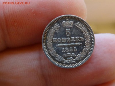 5 копеек 1855 ОТЛИЧНЫЕ до 03.12 до 22.00 - DSC06418.JPG