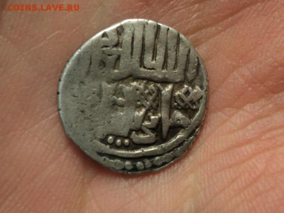 дирхемы на опознание - DSC01403.JPG
