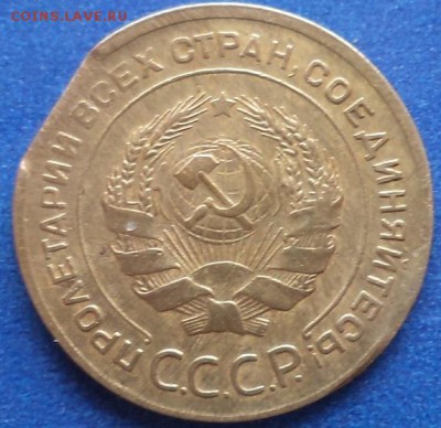 Край листа? - DSC03374.JPG