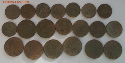 нечастые советы(копанные нечищенные)до 2.12.15 22-00 по мск - DSCN2695.JPG