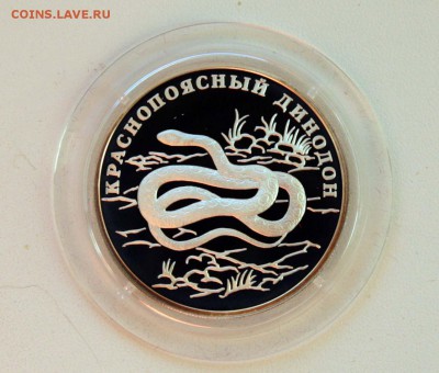 1 рубль. Краснопоясный динодон до 04.12.в 22-30 - динидон