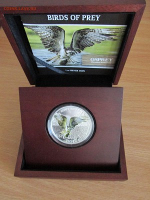 Ниуэ 2$ 2013 Птицы: Скопа, Белоголовый Орлан на оценку - IMG_8600.JPG