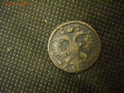 Полушка 1736 год Анна Иоановна - PB290026.JPG