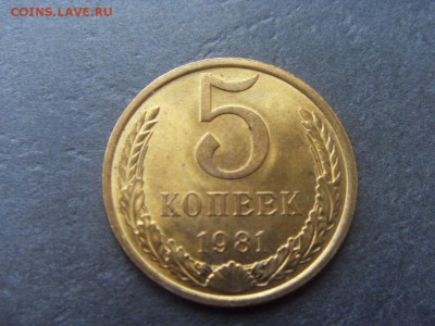 5 копеек 1981 года . В сохранности! до 22-00 мск 04.12.15 г. - SDC10234.JPG