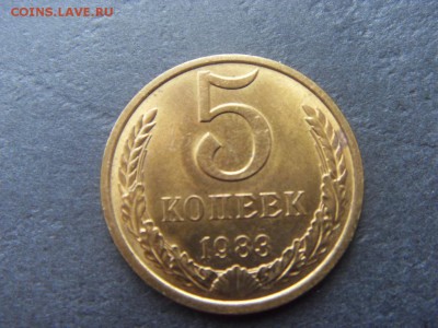 5 копеек 1983 года . В сохранности! до 22-00 мск 04.12.15 г. - SDC10238.JPG