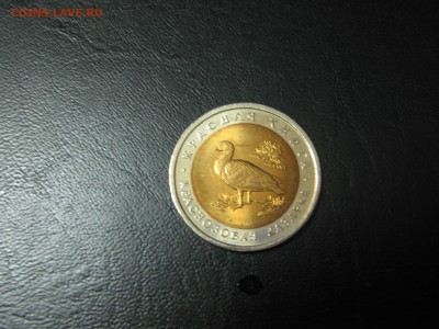 КК Краснозобая казарка UNC мешковой до 4.12 22:00 мск - IMG_1163.JPG