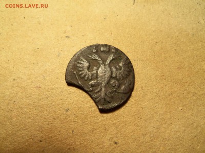Полушка1735года-выкус - 100_2559.JPG