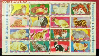 Фауна - 16 - Экв.Гвинея - 7 декабря 21-30 МСК - Фауна07_ЭГ_Ч