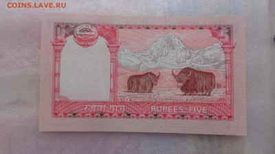 НЕПАЛ 5,Вьетнам 500 донгов  UNC в 21-20 мСК 7 го - ........18.11.2015.....ггг 551.JPG