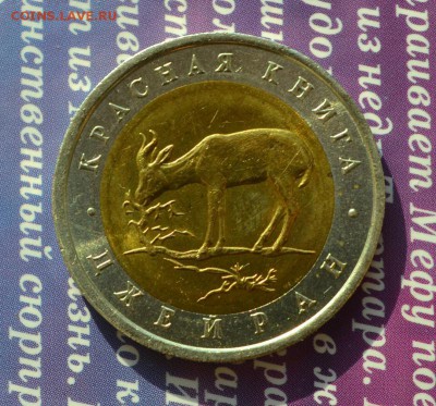 Красная книга джейран до 4.12.2015 в 22:15 мск - джейран2 а
