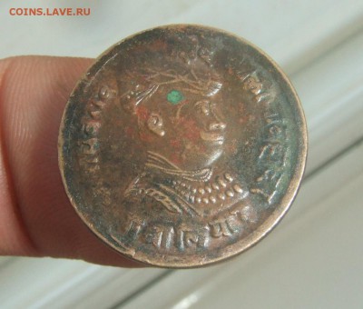 1 - DSCF5237.JPG