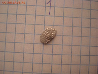 Чешуя - DSC04897.JPG