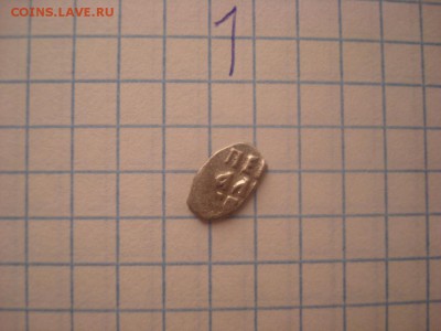 Чешуя - DSC04902.JPG