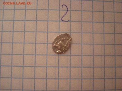 Чешуя - DSC04898.JPG