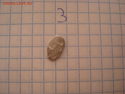 Чешуя - DSC04899.JPG