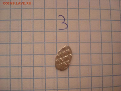 Чешуя - DSC04904.JPG