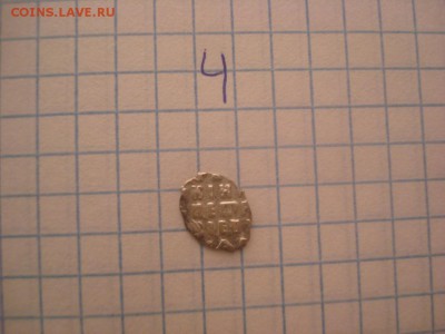 Чешуя - DSC04905.JPG