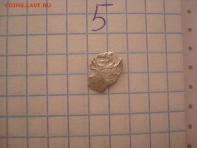 Чешуя - DSC04901.JPG