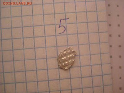 Чешуя - DSC04906.JPG