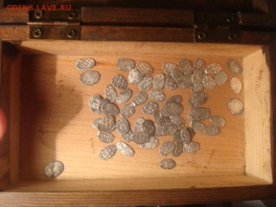 Чешуя - DSC04895.JPG