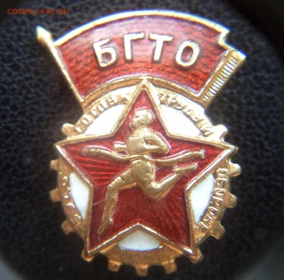 БГТО  1шт. ЛЮКС! до 03.12.2015 22-00МСК - DSC03399.JPG