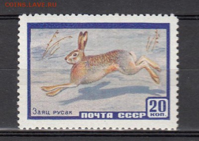 СССР 1960 фауна заяц - 48