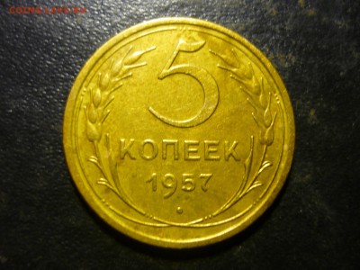(5) - юж10