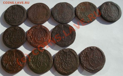 Пятаки Екатерины - DSC05974.JPG