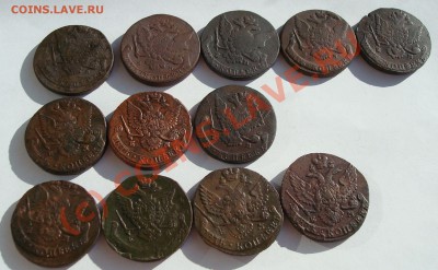 Пятаки Екатерины - DSC05977.JPG