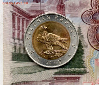 Красная книга 1994 г "Сапсан". до 22.00 мск 04.12.2015 - img564