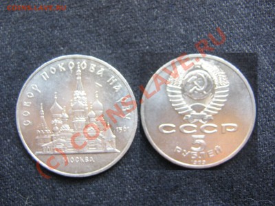 у - IMG_1496.JPG