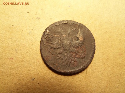 Полушка1730года-перечекан копейки1728года - 100_2686.JPG