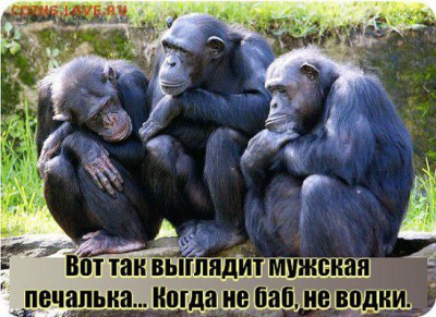 СТРАНИЧКА РЫБАКА - гыгыгыгыыг