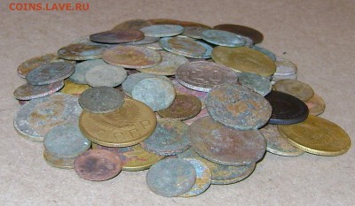 Ранние советы 100шт (на опыты) до 09.12.2015г. С РУБЛЯ. - DSC02050.JPG