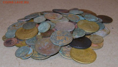 Ранние советы 100шт (на опыты) до 09.12.2015г. С РУБЛЯ. - DSC02049.JPG