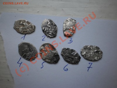 Чешуйки Петра,7 шт., до 19.09 в 21:00 Москвы - P1010184.JPG