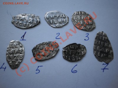Чешуйки Петра Алексеевича,7 шт., до 19.09 в 21:00 Москвы - P1010194.JPG
