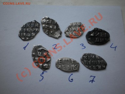 Чешуйки Петра Алексеевича,7 шт., до 20.09 в 21:00 Москвы - P1010200.JPG