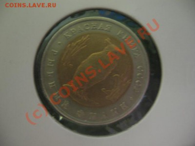 Продаётся Красная Книга 91г.,92г. - IMG_2437.JPG
