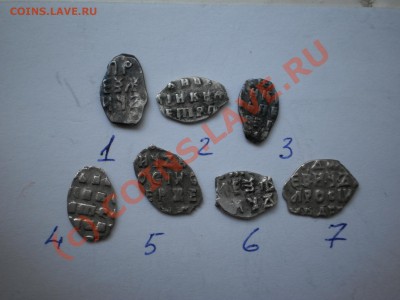 Чешуйки Петра,7 шт., до 21.09 в 21:00 Москвы - P1010205.JPG