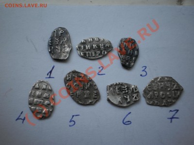 Чешуйки Петра,7 шт., до 21.09 в 21:00 Москвы - P1010206.JPG