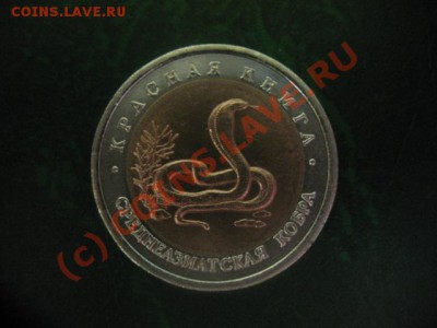 Продаётся Красная Книга 91г.,92г. - IMG_2441.JPG
