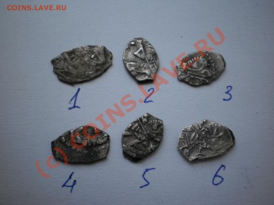 Чешуйки Петра Алексеевича,6 шт., до 22.09 в 21:00 Москвы - P1010208.JPG