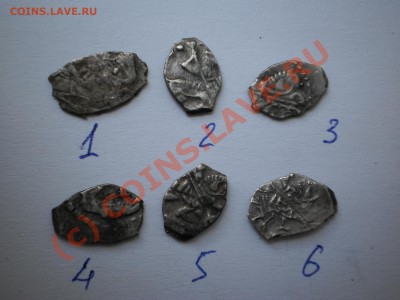 Чешуйки Петра Алексеевича,6 шт., до 22.09 в 21:00 Москвы - P1010209.JPG