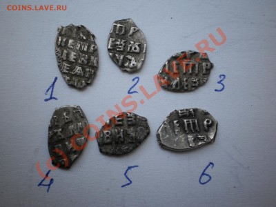 Чешуйки Петра Алексеевича,6 шт., до 22.09 в 21:00 Москвы - P1010210.JPG