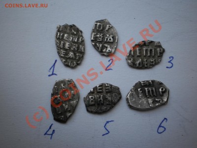 Чешуйки Петра Алексеевича,6 шт., до 22.09 в 21:00 Москвы - P1010211.JPG