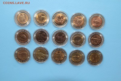 КРАСНАЯ КНИГА в капсулах и планшете 91-94, хорошие, 3 дня - IMG_7154.JPG
