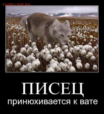 Всем мои поздравления. Рублю - похоже, кирдык! - писец