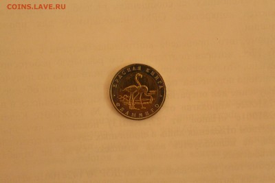 Красная Книга 50р 1994г Фламинго до 22.00 11.12.15 - IMG_3946.JPG