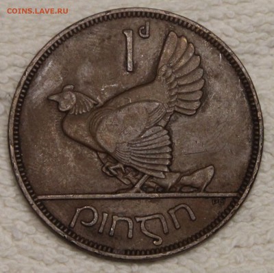 1 пенни 1937 Ирландия Глухарь до 11.12 - IMG_5681.JPG
